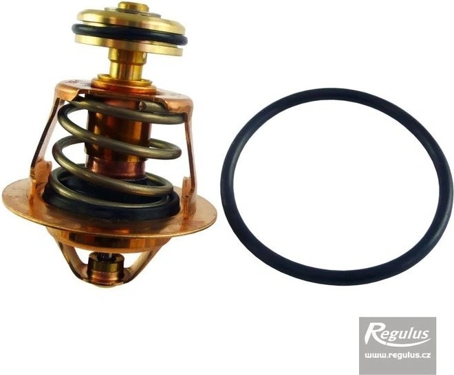 Regulus 16096