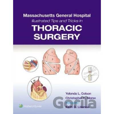 Massachusetts General Hospital Illustrated Tips and Tricks in Thoracic Surgery - Christopher Morse, Yolonda Colson