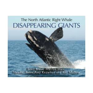 The North Atlantic Right Whale: Disappearing Giants | Scott Kraus, Kenneth Mallory (ISBN: 9781554554645)