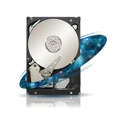 Seagate Exos 7E2000 1TB, ST1000NX0313