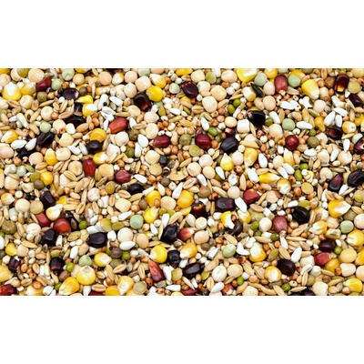 Kampol H-M Krmivo pro budoucí Šampiony 25 kg