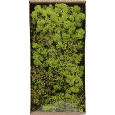 Moss reindeer 500gr nature 38x19x9cm