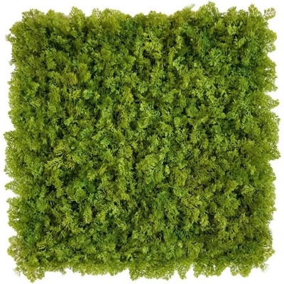 Shaggy moss green, dielec 50 x 50 cm