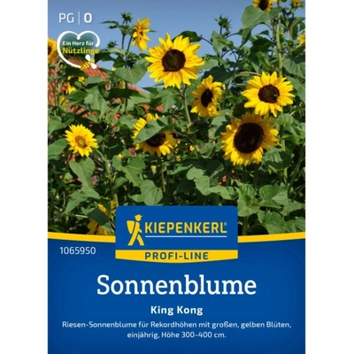 Kiepenkerl slunečnice "King Kong" Helianthus annuus