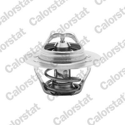 Termostat, chladivo CALORSTAT by Vernet TH6045.89J (TH604589J)