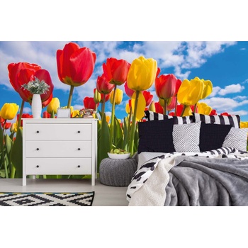 DIMEX ART s. r. o Самозалепваща се флизелинова фототапета пролетно поле от лалета 375 x 250 см