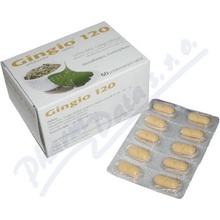 Gingio 120 filmom obalené tablety tbl.flm.60 x 120 mg
