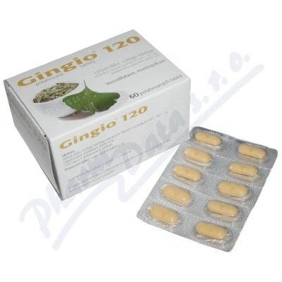 Gingio 120 filmom obalené tablety tbl.flm.60 x 120 mg