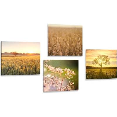 Set obrazů pole při západu slunce - 4x 60x60