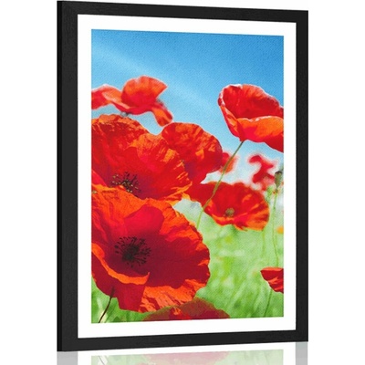 Plakát s paspartou květiny máku na louce - 30x45 black