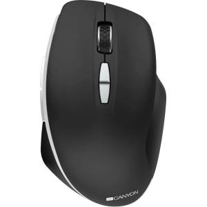 CANYON MW-21 (CNS-CMSW21B)