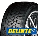 Osobní pneumatiky Delinte WD1 175/70 R14 88T
