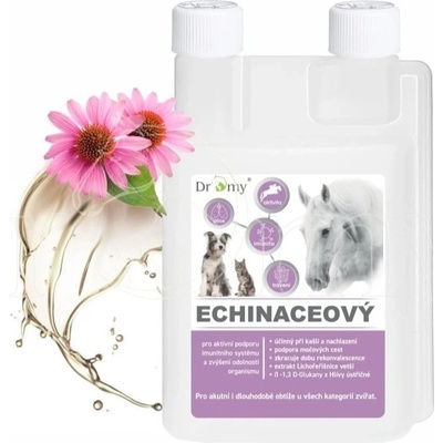 Dromy Echinaceový sirup 1 l