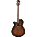 Ibanez AEG70L
