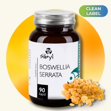 Sibyl Boswellia serrata 400 mg Pryskyřice kadidlovníku 90 kapslí