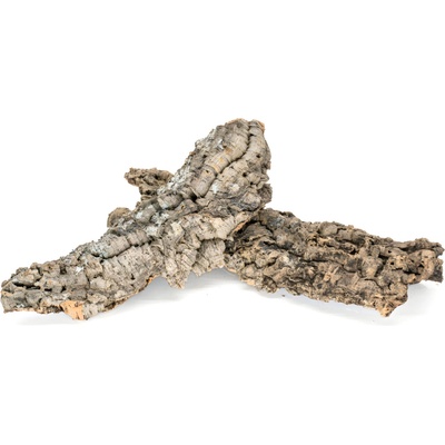 Invital Prírodná korková doska L 50-70 cm