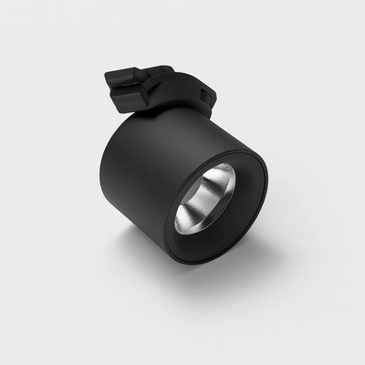 SPOT Light 10w belt 3000k 110° Ф100 h110 bl (1503-b)