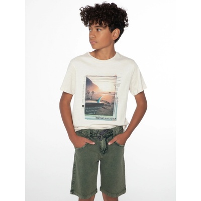 chlapecké kraťasy PROTEST ORLIN zelená