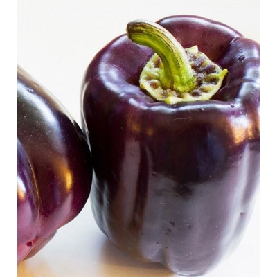 Paprika Zulu - Capsicum annuum - semienka - 10 ks