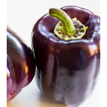 Paprika Zulu - Capsicum annuum - semienka - 10 ks