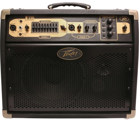 Peavey Ecoustic E110