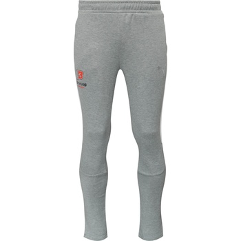 PUMA Teamevostripe pants s