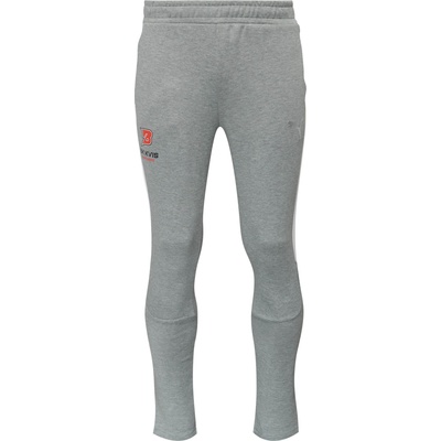 PUMA Teamevostripe pants s