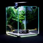 Diversa NEOlight SET 30
