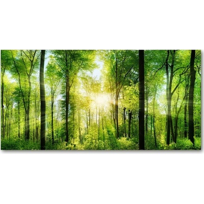 Foto obraz sklo tvrzené les slnko 100x50 cm