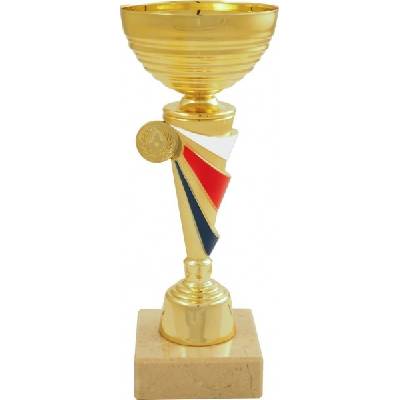 Sportovní pohár PET212 s českou trikolórou