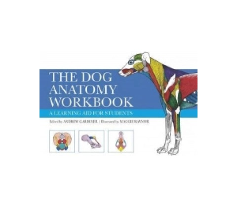Dog Anatomy Workbook