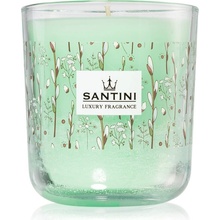 SANTINI Cosmetic Hello Spring 200 g