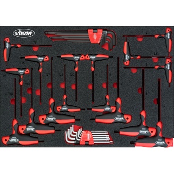 Vigor V5175