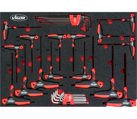 Vigor V5175