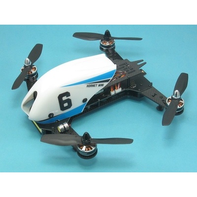 Dualsky Hornet Mini KIT