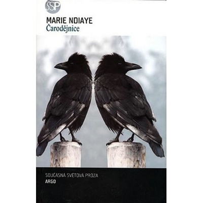 Čarodějnice - Marie Ndiaye