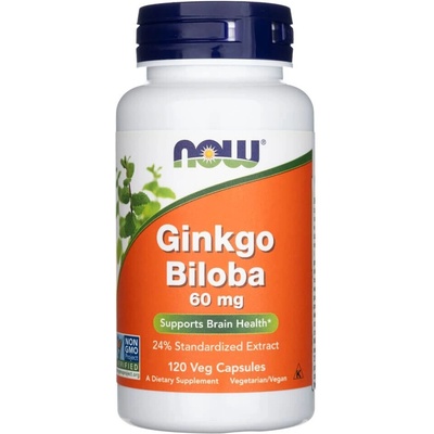 Now Foods Ginkgo Biloba 60 mg 120 kapslí