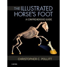 Illustrated Horse's Foot