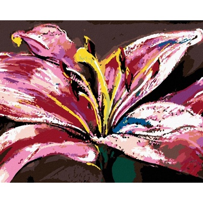 Zuty Malování Podle Čísel Velká Růžová Lilie 80 x 100 Cm Plátno 8596530104827