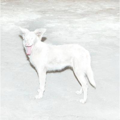 AO - Malandra (Digipak) (CD)