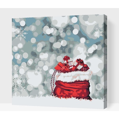 Vymalujsisam.cz Malování podle čísel Pytel dárků Velikost 50 x 50 cm Rámování Na kartonové desce