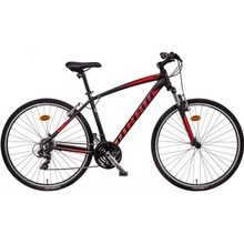 Mayo XR Basic Lite 2025
