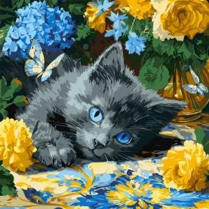 Ideyka Painting by numbers 40 x 40 cm KHO6795 Blue-eyed kitten AP0098