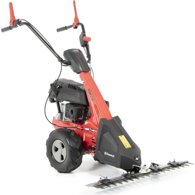 Faworyt TK87-196T