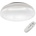 Fulgur ANETA 28852