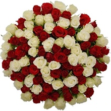 Kytice 100 míchaných růží AGATHA 50 cm