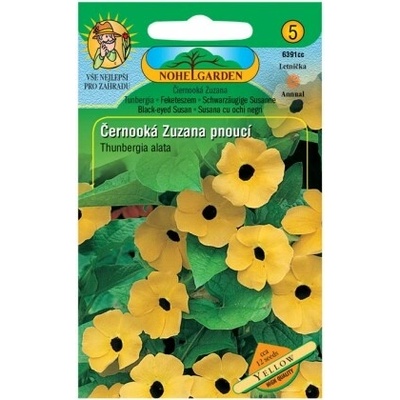 Nohel Garden Čiernooká Zuzana pnúca, žltá