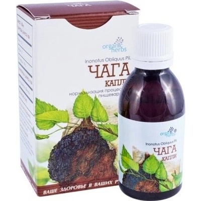 TML Čaga Rezavec šikmý kvapky 100 ml