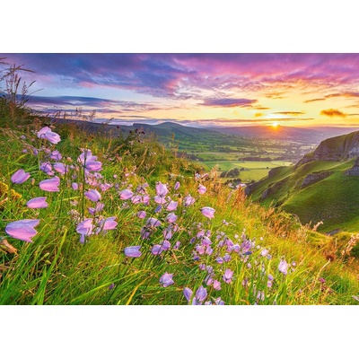 Castorland Harebells při východu slunce 500 dílků