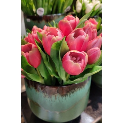 Kytica 7ks tmavo ružových realistických tulipánov Tulips - 31cm - J-Line by Jolipa